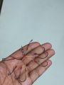 8 Kata Jhupi Hook Set india Nathur Kata 2set Explosion Hook Fishing Tackle Spider Hooks Set Carp Fishhook 2set.