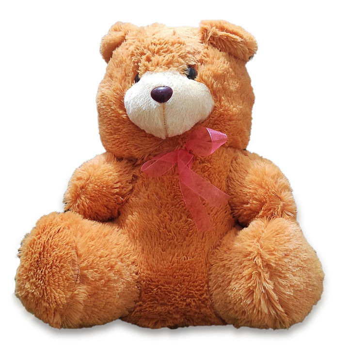 Daraz teddy bear online