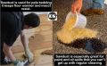 Wood dust Powder 25kg Wood Sawdust kather vushi bhusi, Saw dust Powder, for Plant Pack of 25kg Wood Sawdust Saw dust Powder.