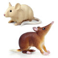 （New）Realitic Moue Rat Opoum Animal Model Figure Dek Decor Education Kid Toy. 