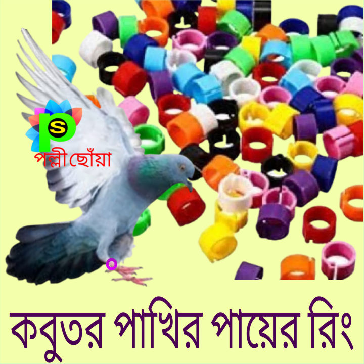 Product details of100 pice/lot Bird & Pigeon leg rings for beauty Multicolor .Use for identifying, similar looking birds more easy,