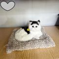 Cute cat plush toy doll Soft cat doll simulation kitten pillow. 