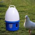 Pigeon Waterer Drinker Water Bottle Automatic Bird Water Dispenser for Quail 6L D 19cm H 35CM. 