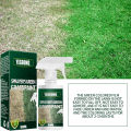 Grass and Turf Paint Friendly Lawn Colorant Maintenance Agent Increase Green Lawn Agent Green Grass Paint [Fashion and Trends]. 