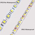 5050 SMD 5M 12V LED Strip light 12 v Waterproof LEDStrip tape lamp RGB RGBW RGBWW Yellow Pink Ice Blue Diode Ribbon Fleible-Blue-IP20 IP65 --.