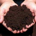 Cow dung dust dry 01kg- pure organic fertilizer.