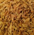 Golden Raisins Kismis Seedless - 500gm (impoted). 