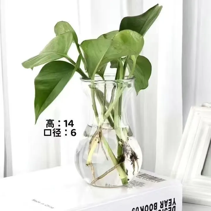 Fresh%20and%20simple%20small%20mouth%20vase,%20glass%20vase,%20fresh%20flowers,%20dried%20flowers,%20water%20vase,%20living%20room,%20home%20office,%20decorative%20ornaments%20-%20Image%208