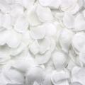 Rose decoration-4000 x rose petals-white.