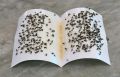 Fly Trap for Home Fly 3 Pcs. 