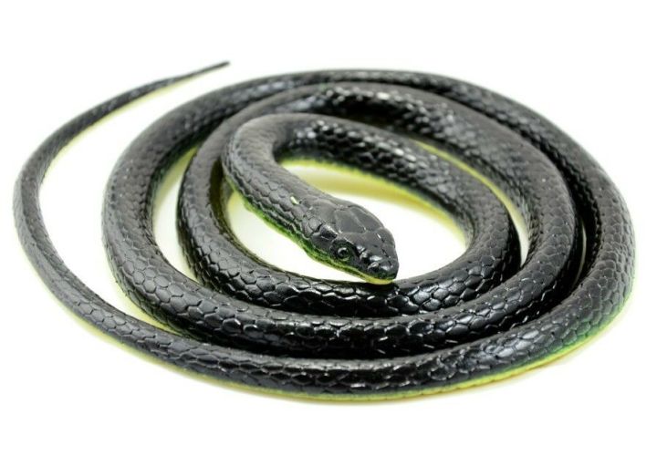 GC%20Fake%20Realistic%20Snake%20Lifelike%20Real%20Scary%20Rubber%20Toy%20Prank%20Party%20Joke%20Halloween%20-%20Image%207