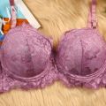 Lavender Net Foam Padded Bra for Women - Exclusive Elegance for a Stylish Look and Comfortable Feel. 