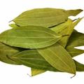 Tejpata (Bay Leaves) Loose -250Gm. 