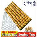 02 pcs Egg Incubator Setter Tray - 101 Egg Setter Tray For Chicken, Duck, Goose. 