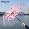 Best Foldable Transparent Chinese Umbrella for Men & Women - 2024 Trend | Ladies Stylish Umbrella for Girls. 