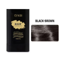 Hair Color Stick for White Hair Coverage | Hairdressing Stick | Waterproof and Sweat-Proof Hair Dye Comb for Temporary Hair Color 20gm. 