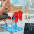 DIY Fan Motor Model Toy Science Experiment Projects for Kids Beginners Gift. 