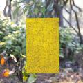Double-sided insect trap tea garden orchard blue stained trips yellow trap trap yellow plate insect stickers gardening Sticky Trap. 