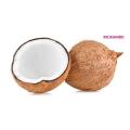 Coconut. 