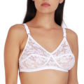 Women's Lace & Net Non-Padded Non-Wired Regular Bra in White. 
