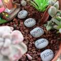 Potted Paving Stones Small Stones Potted Decor for Landscaping Garden Lawn. 