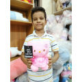 Cute Hello Kitty Plush Soft Toy Doll for Lovely Baby Gift. 