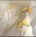 Splendid Indispensable -Quality And Durablity -Ladies & Girls hair stick Stylish Hair tie By Tashza Collection- Innovative.