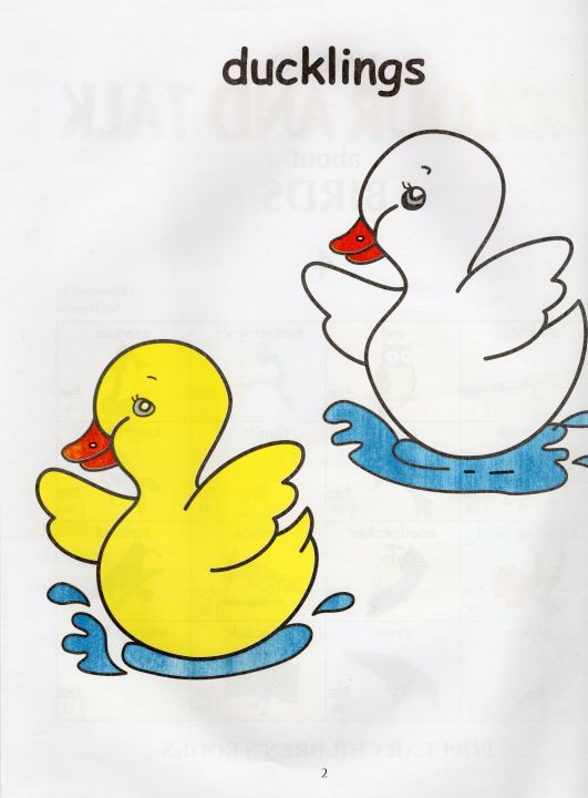 Time%20To%20Colour%20And%20Talk%20about%20Birds%20(Book%204)%20-%20Image%205