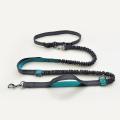 Cute #Lake Blue Direct pet supplies multi-function running reflective pull dog leash double elastic dog leash traction. 