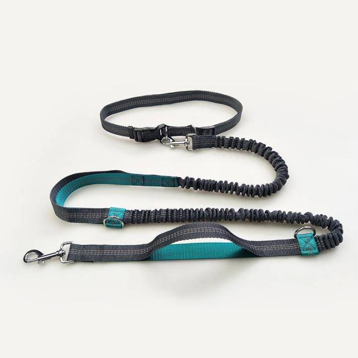 Cute%20#Lake%20Blue%20Direct%20pet%20supplies%20multi-function%20running%20reflective%20pull%20dog%20leash%20double%20elastic%20dog%20leash%20traction%20-%20Image%204