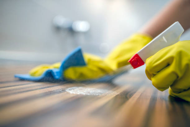 Sparkbliss%20Furniture%20Cleaner%20and%20Polish%20Woody%20Wood%20Seasoning%20Upscaled%20Quality%20and%20Simple%20Usage%20&%20Shining-%20450ml%20-%20Image%203