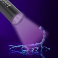 USB Rechargeable Waterproof Ultra Violet Light Portable LED Mini Light Torch Detector Mini LED Ultraviolet Torch 365nm UV Flashlight Pet Urine Scorpions Detection Lamp.