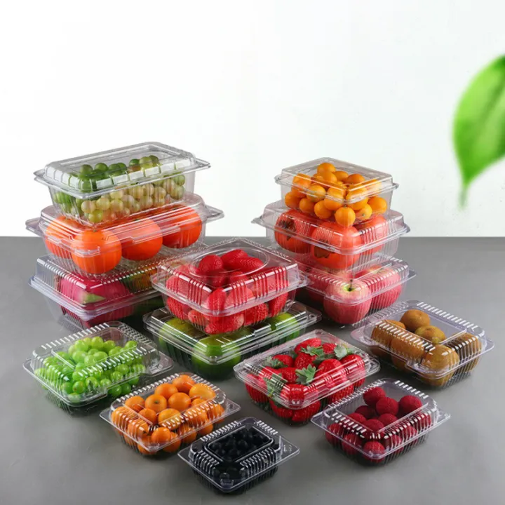 100pcs%20Transparent%20Plastic%20Packaging%20Box%20Disposable%20Fruit%20Box%20Food%20Preservation%20Takeaway%20Pastry%20Cake%20Snack%20Packaging%20Box%20Bayline%20-%20Image%205