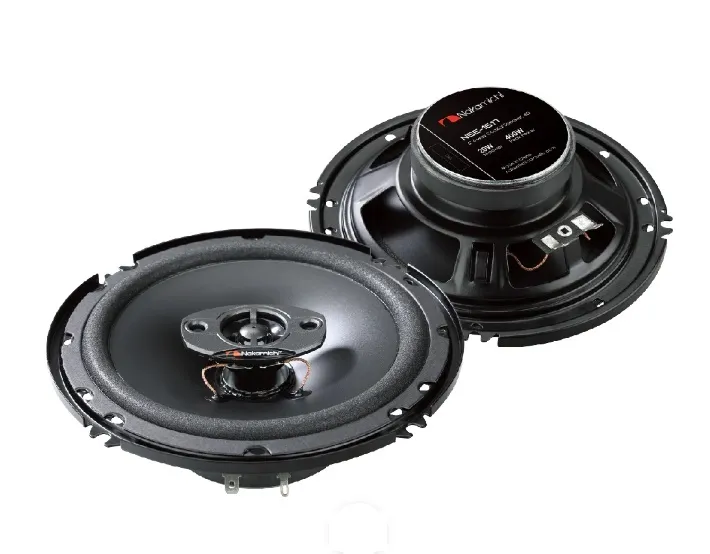Nakamichi%20door%20speakers%20for%20premium%20sound%20quality%20-%20Image%202