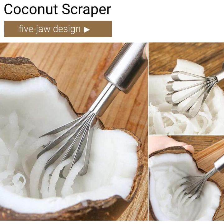 Stainless Steel Coconut Meat Removal / Coconut Meat Grater Slicer Fish Scale Planning