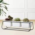 Indoor Plant Pot Creative Container for Desktop Indoor Outdoor Home Decor. 