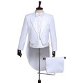 Mens Tailcoat Formal Tuxedo Dress Suit Swallow Tail Coat Male Wedding Jacket Suits Blazers Party Wedding Dance Magic Performance.