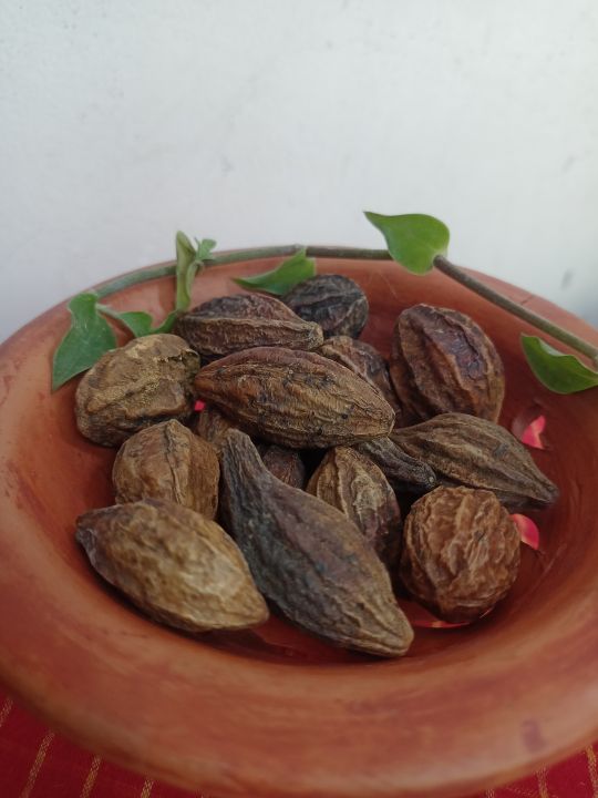 Hortoki%20Powder%20(Hartaki%20Gura)%20%20(100%20gm)%20-%20Image%203