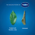 Vaseline Petroleum Jelly 50ml.