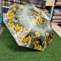 1 Pc Colorful, Stylish & Fashionable Auto Open Umbrella For Men, Women, Girls, & Boys.