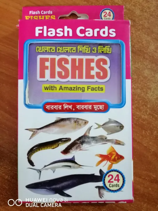 Fish%20Flash%20Card%20for%20Kids%20Early%20Learning%2024%20Cards%20-%20Image%208