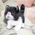 Cute Electric Cat Plush Toy Musical Gift Plush Stuffed Animal for Toddlers Children's Baby. 