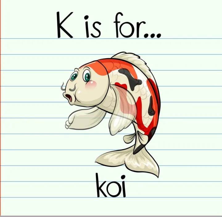 Fish%20Flash%20Card%20for%20Kids%20Early%20Learning%2024%20Cards%20-%20Image%205