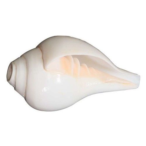 Conch%20Shell%20Powder%20Shongkho%20Gura%20100%20Gm%20-%20Image%204