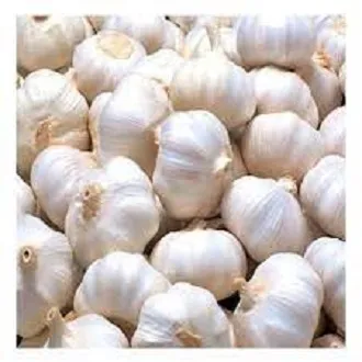Big%20Garlic%20(Rosun)--%201%20Kg%20-%20Image%202