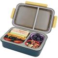 Derisory Removable Inner Stainless Steel Plate Lunch Box - 2 Compartments 750 ml (Multicolor). 