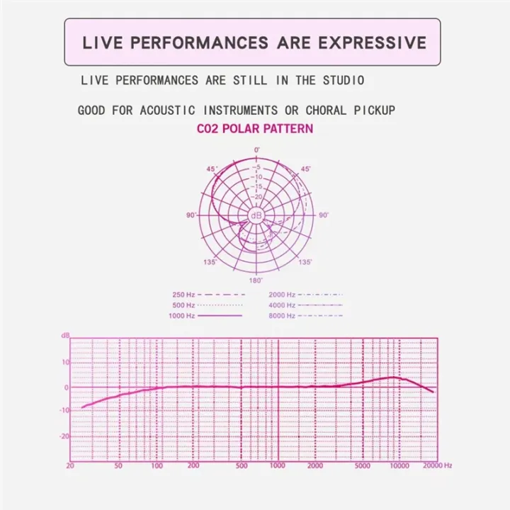 1%20Pair%20C02%20Pen-Shaped%20Condenser%20Microphone%20Shockproof%20Clip%20B%20-%20Image%204