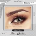 BELLA COLOR CONTACT LENSES with kit box FREE B6 Bella Gray olive Bella Elite Series.