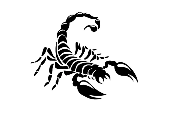 Scorpion%20sticker%20for%20bike%20-%20Image%202