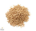 Soybean Seeds(Soybean dana) 500 gm. 